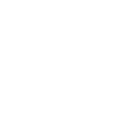 CRM System Icon