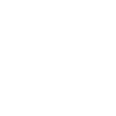 Security Systems Hero Icon